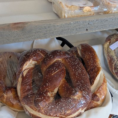 Giant Salted Soft Pretzel 