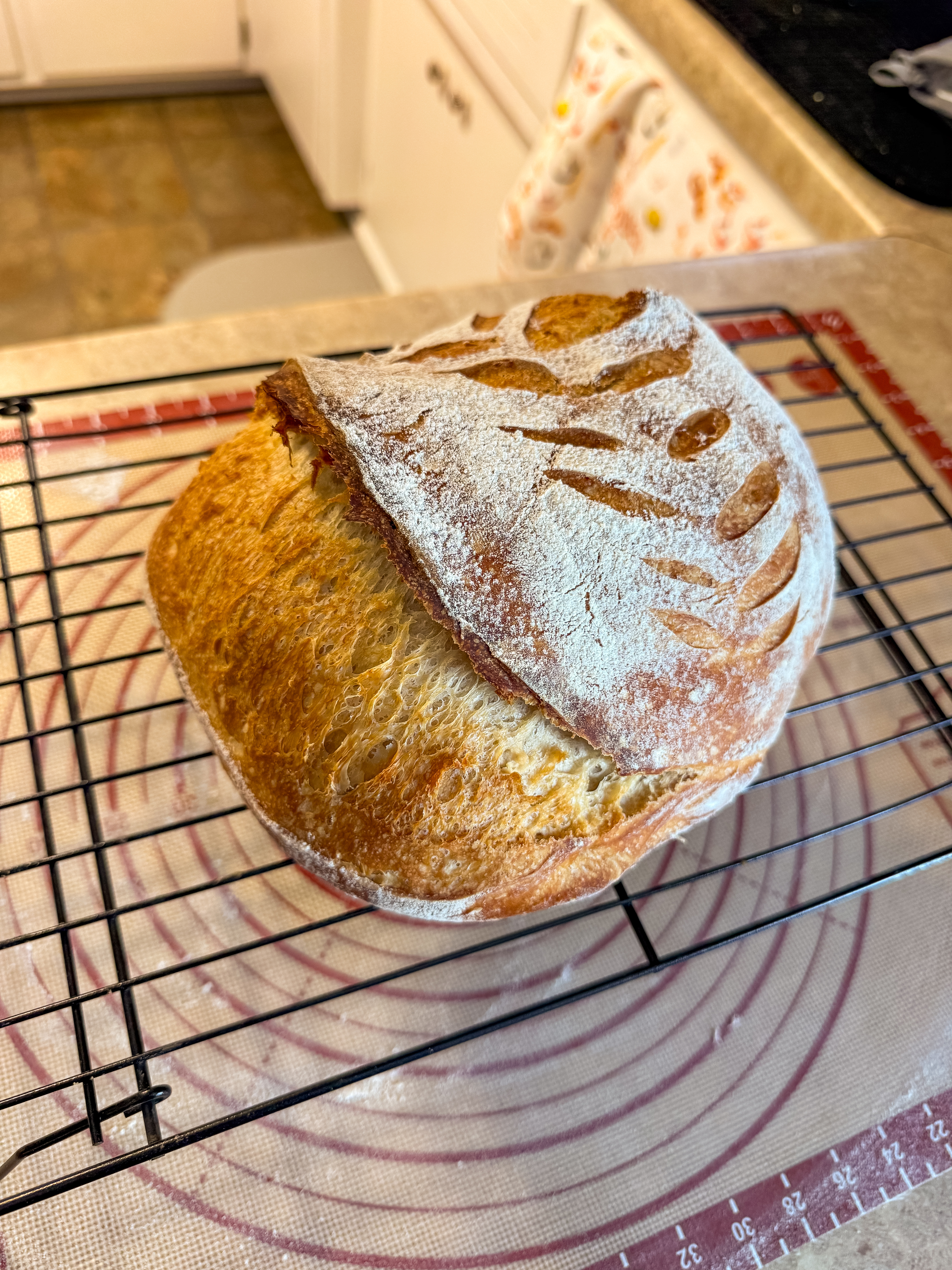 Classic Country Sourdough Loaf