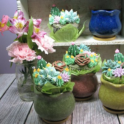 Succulents In A Ceramic Pot