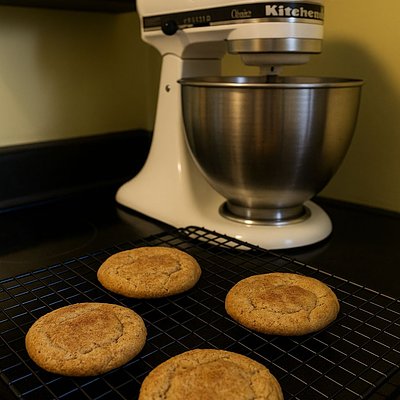 [Copy] Snickerdoodle Cookie