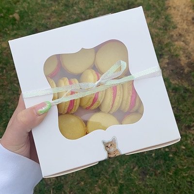 12 Macarons 