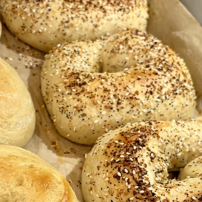 6 Pack of Everything Bagels