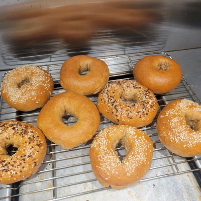 Sourdough Discard Bagels -half Dozen