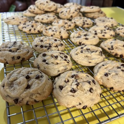Sour Dough Chocolate Chip Cookies