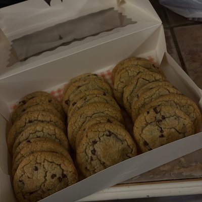 homemade chocolate chip cookies