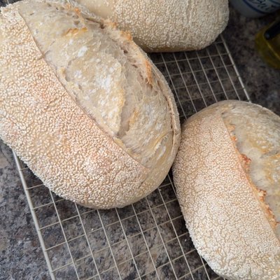 Sesame Crusted Traditional Sourdough