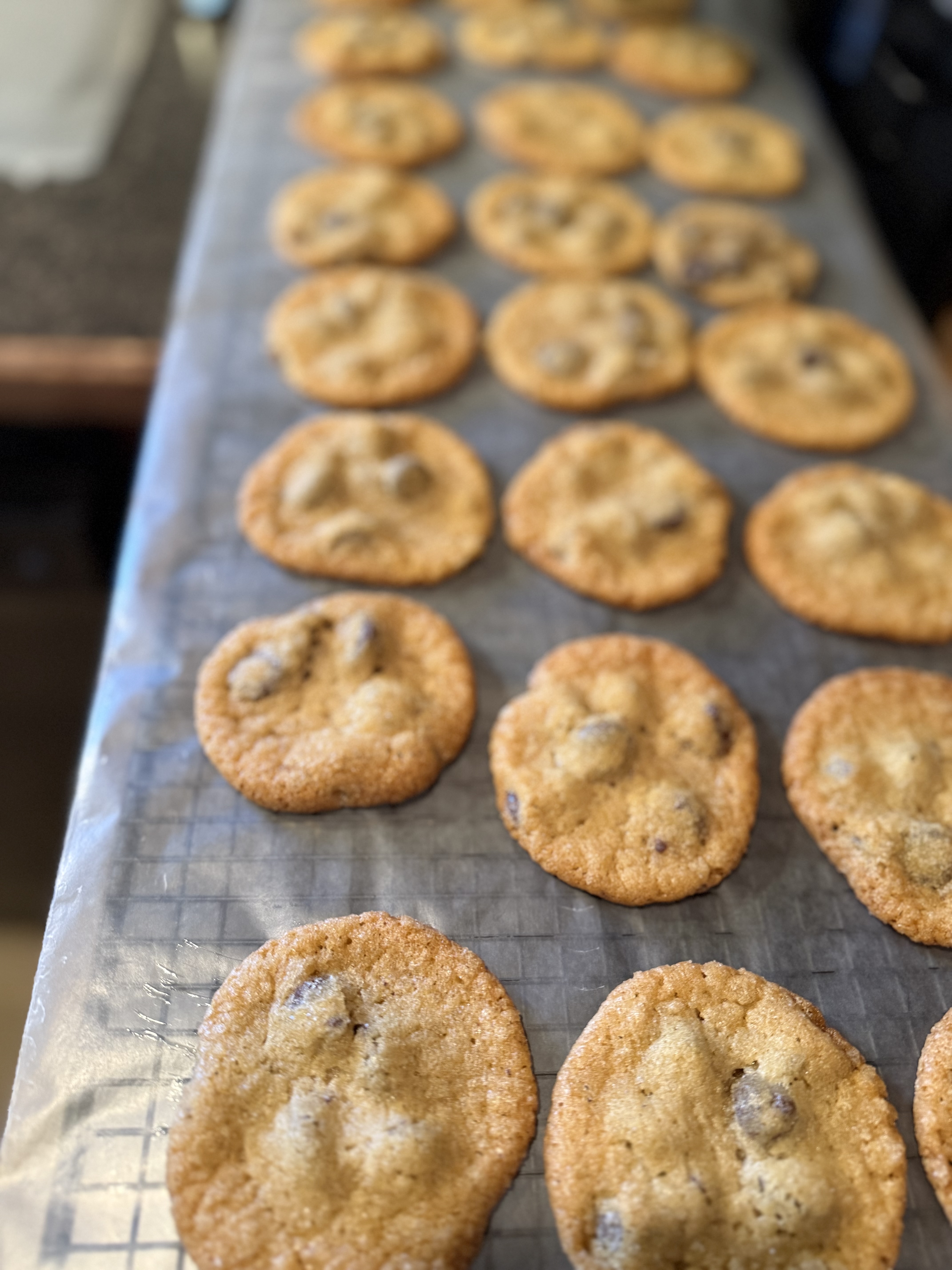 KK’s Chocolate Chip (8 Per Box) 