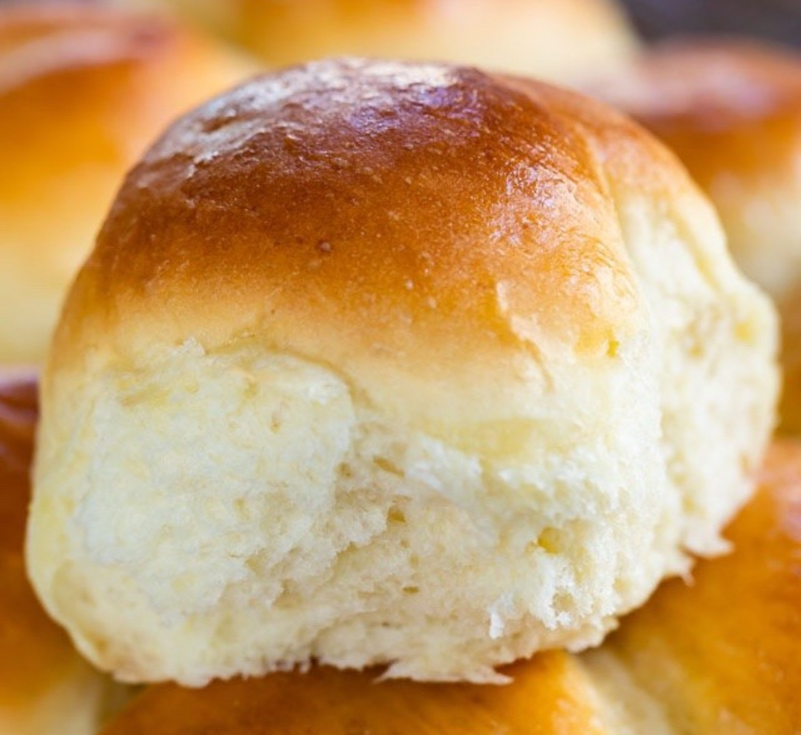 1 Dozen Dinner Rolls