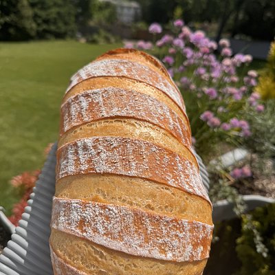 White sourdough - Regular flour