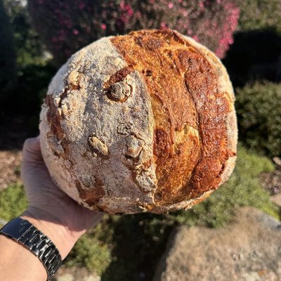 Roasted Jalapeño & Aged Cheddar Sourdough