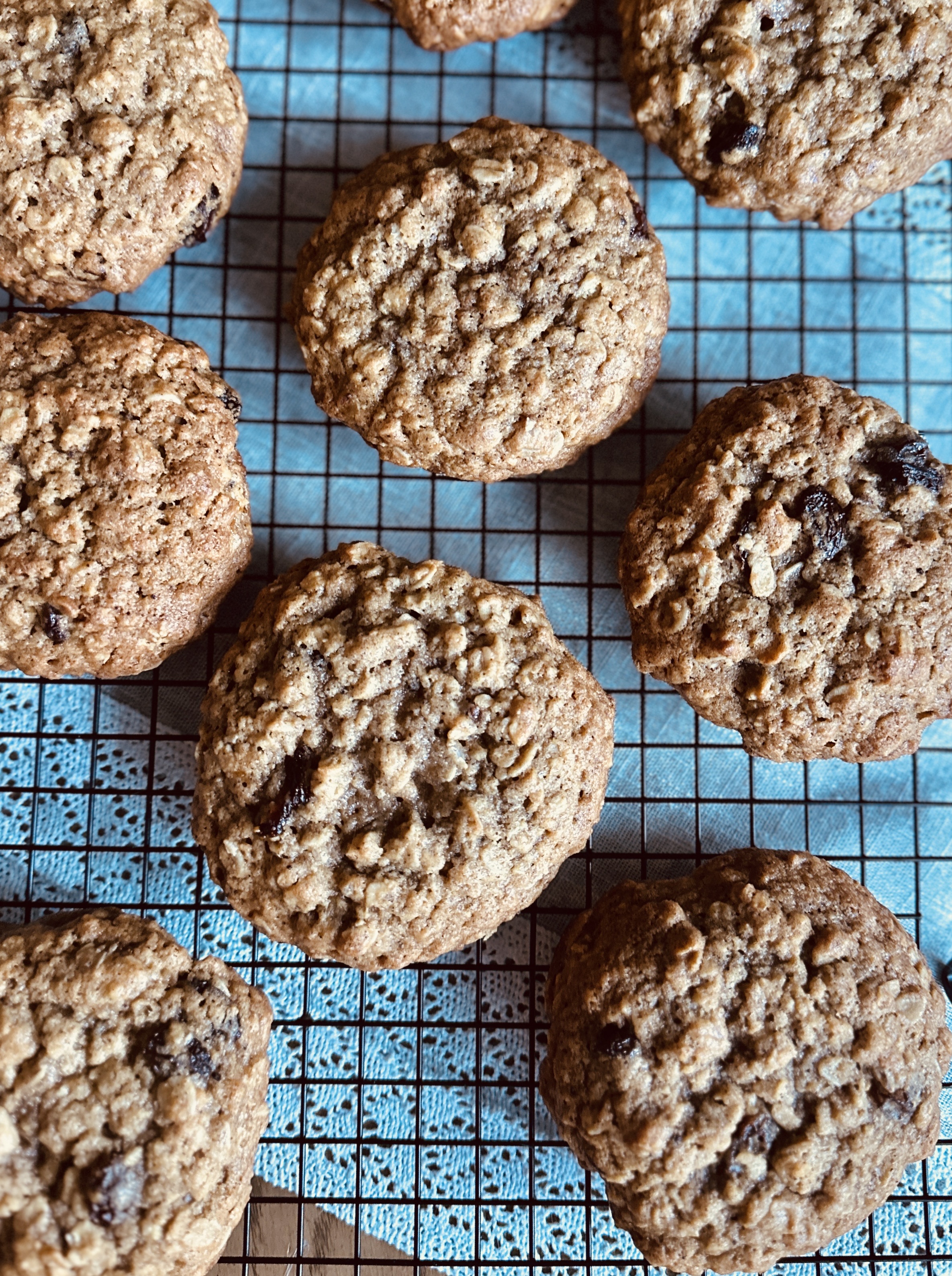 Y’Oatmeal Raisin Cookies (qty 6)