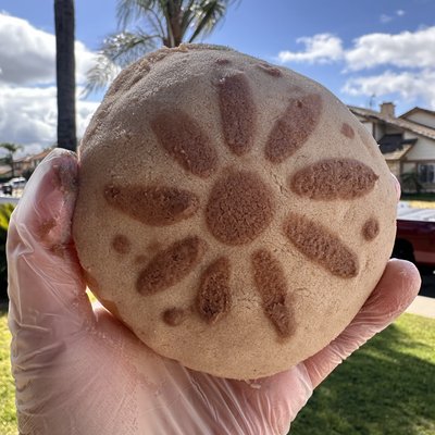Talavera Conchas 