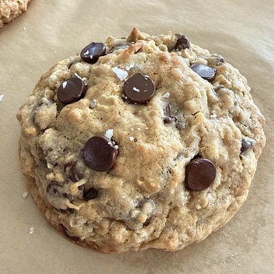 Sugar Shell Treasure Cookie 6 Pack 🍪✨