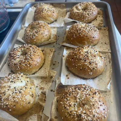 Everything Sourdough Bagels (individual) 