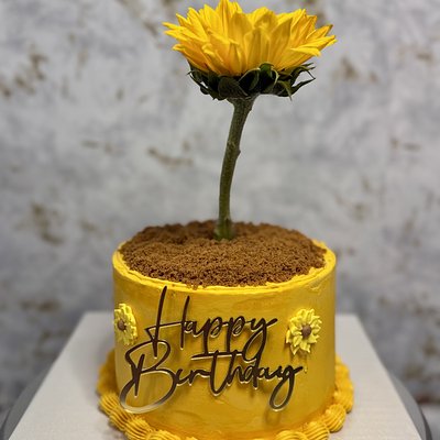 Custom Cakes