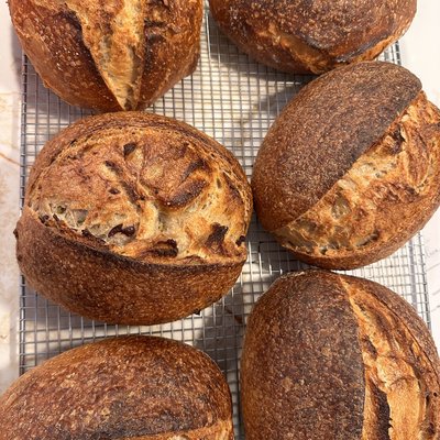 Classic Sourdough