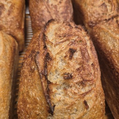 Rosemary Roasted Garlic Sourdough Bread 