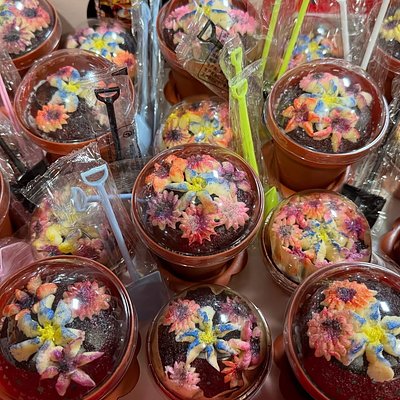 Flower Pot Cupcakes 
