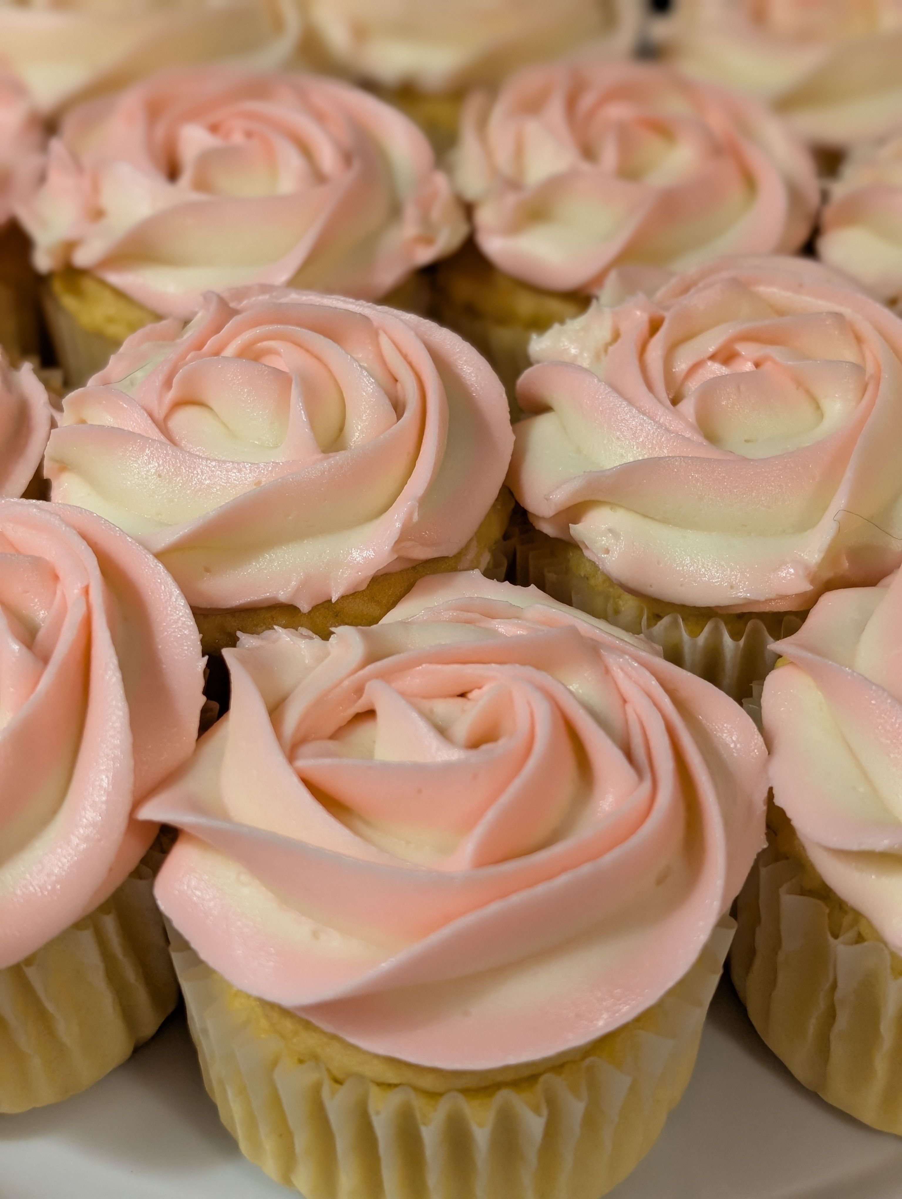 Cupcakes 2doz
