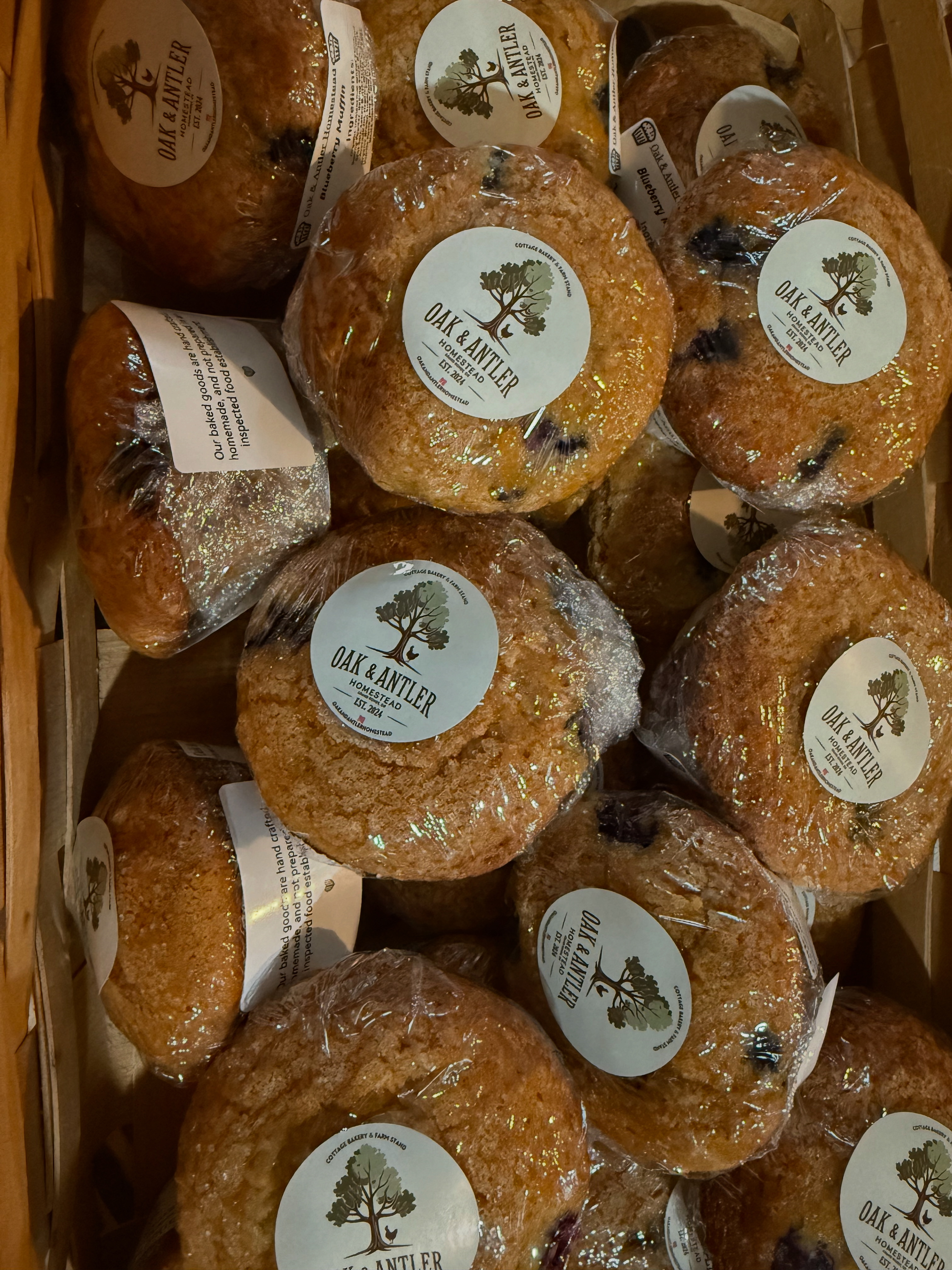 🫐 Blueberry Muffins (4) 🫐