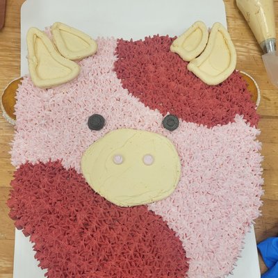 Cupcake Bouquet/ Cake