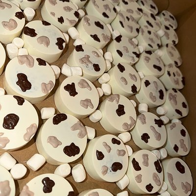 Chocolate Covered Treats