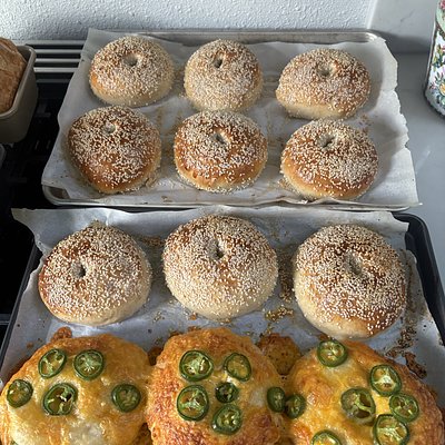 6 Pack Of Seeded Sourdough Bagels