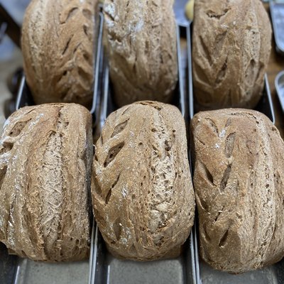 Sourdough Honey Whole Wheat Loaf 🍯 