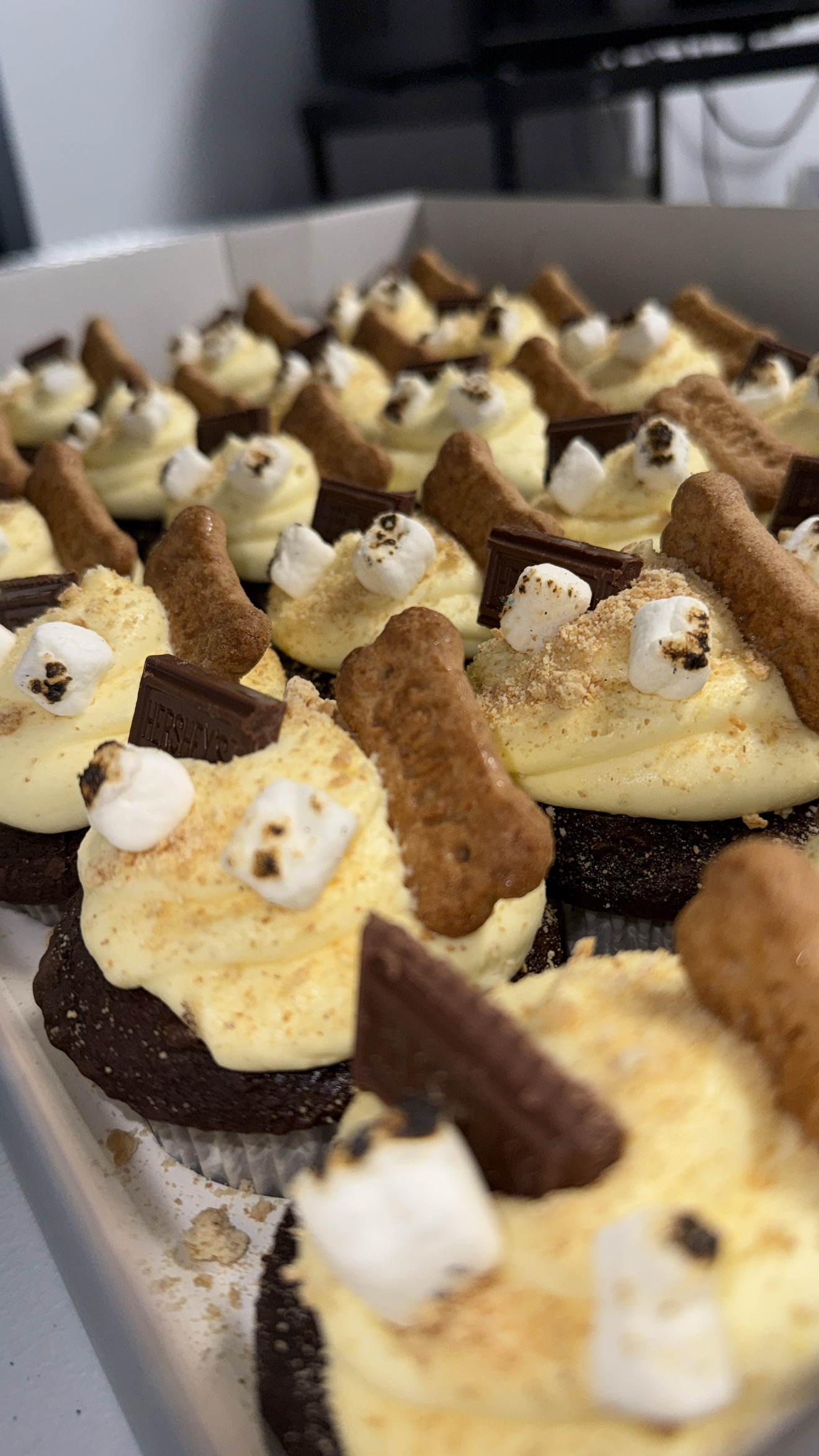 S’mores Cupcakes