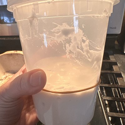 Fresh And Active Sourdough Starter