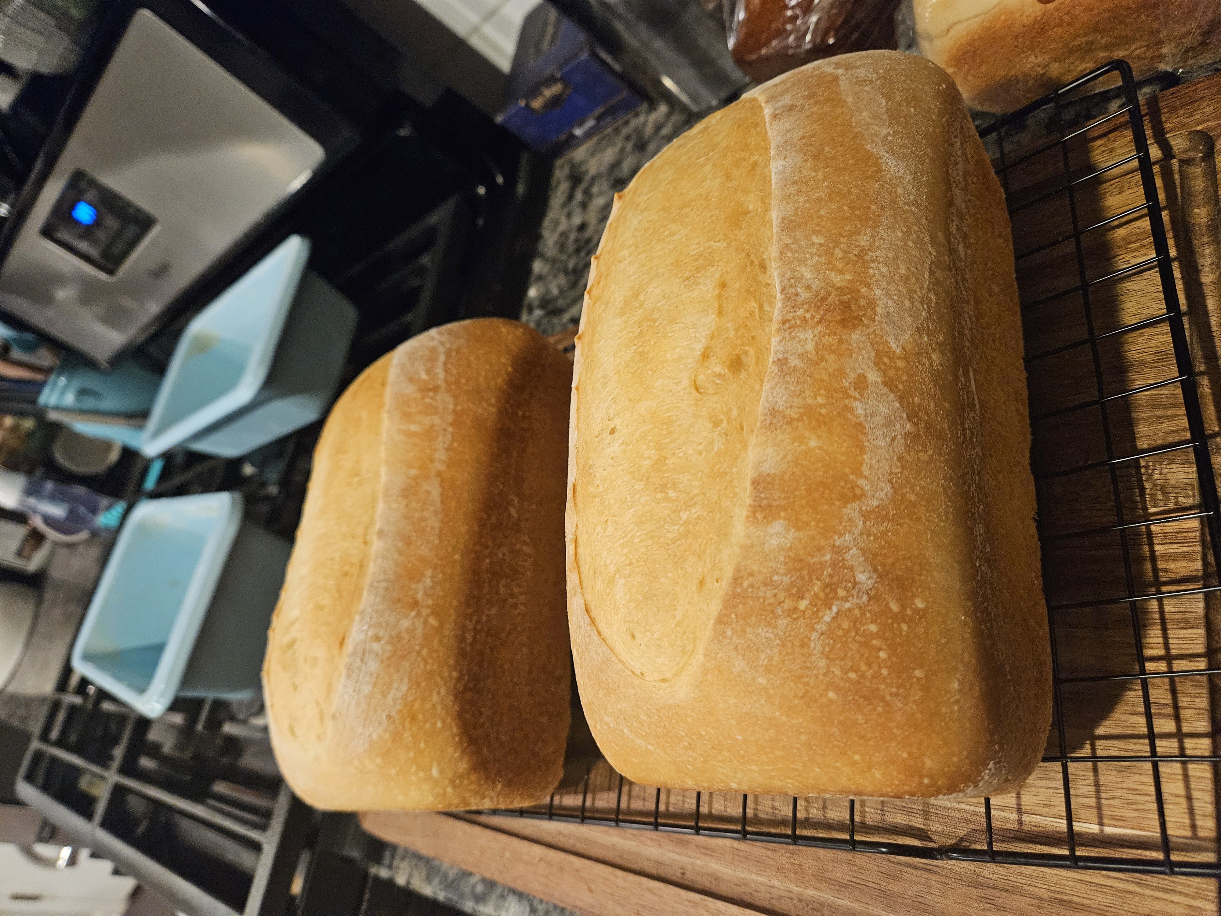 Potato Flake Sourdough Bread