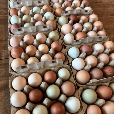Pasture Raised Fresh Eggs