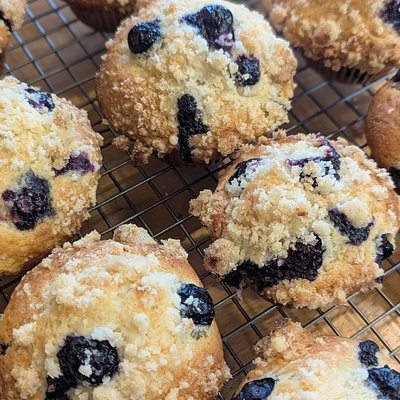 Blueberry Muffins - Medium