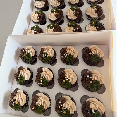 Dozen Cupcakes 