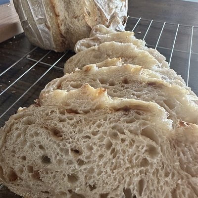Toasted Onion  Sourdough