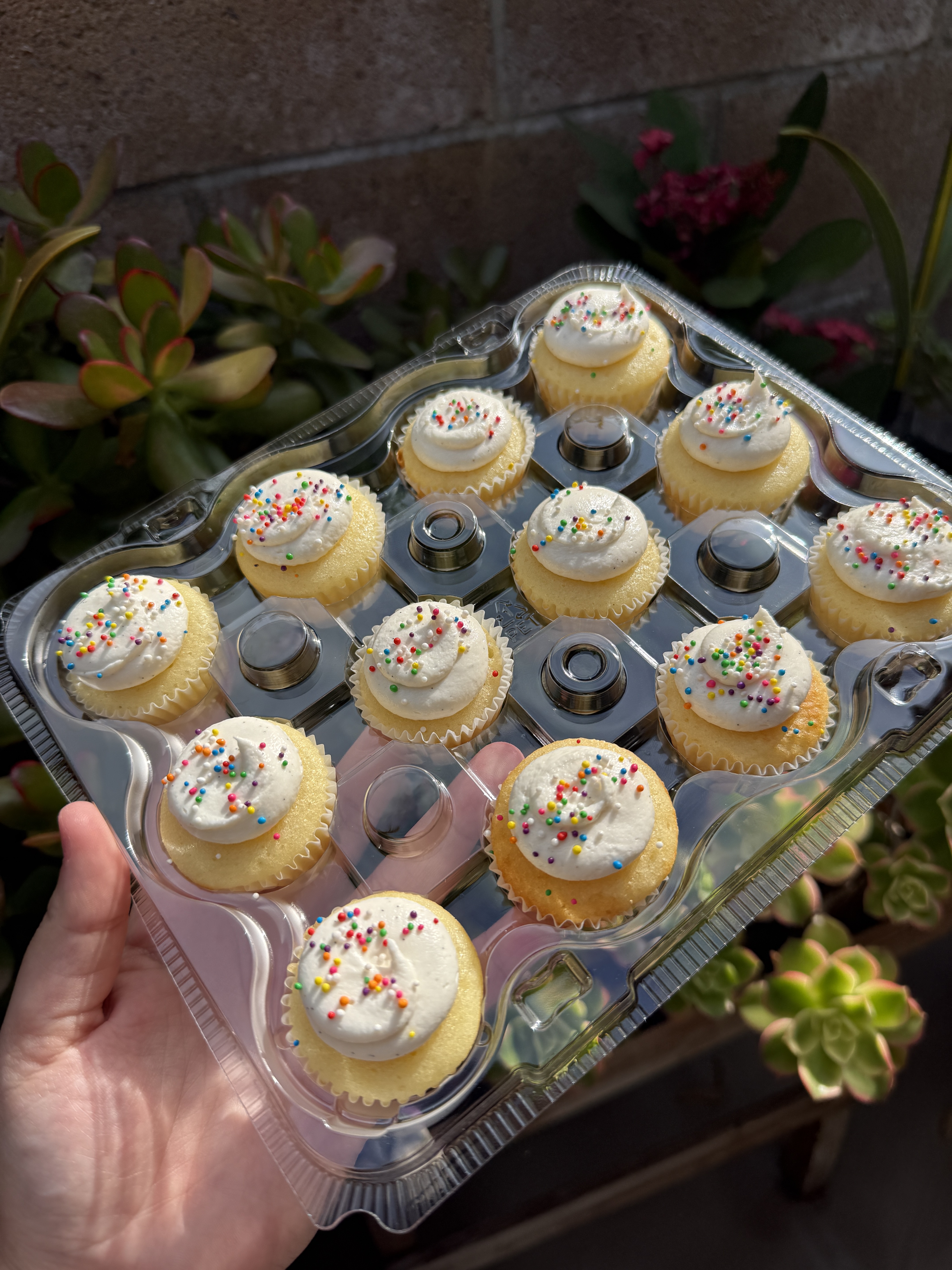 Confetti Mini Cupcakes 