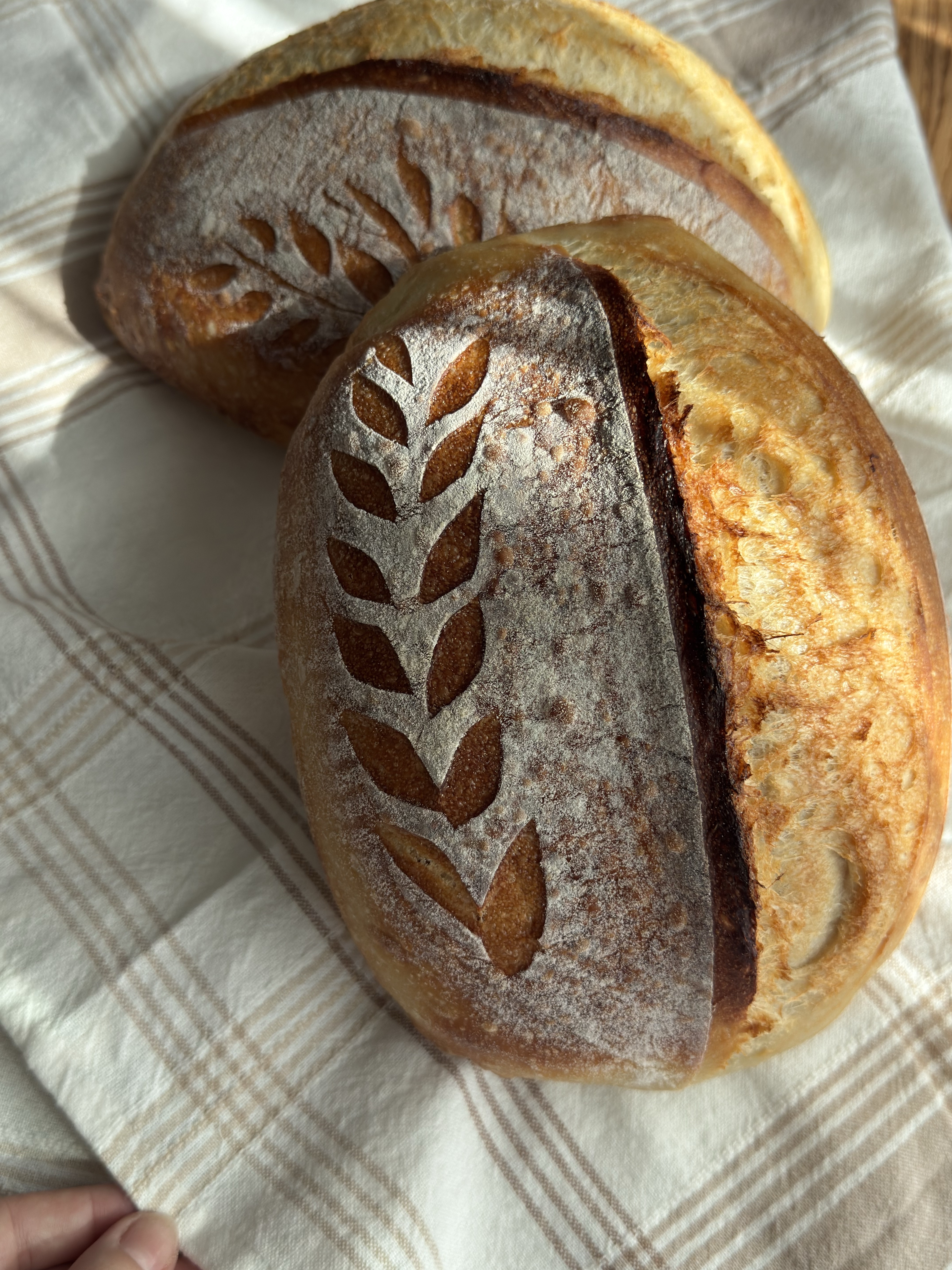 Homemade  Plain  Bread 🍞 