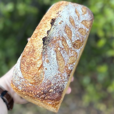 Original Sourdough Loaf