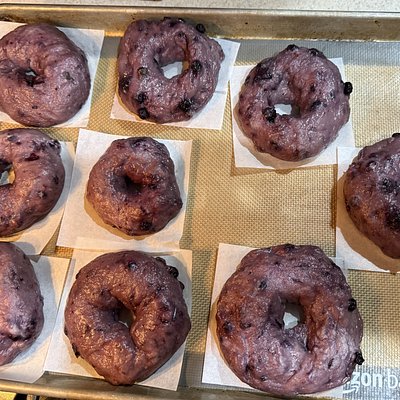 Blueberry Sourdough Bagel
