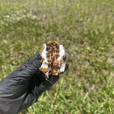 Double Stuffed Biscoff S’mores - 2 Pack 