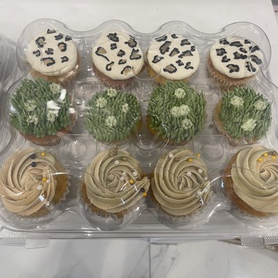 24 Large Cupcakes 
