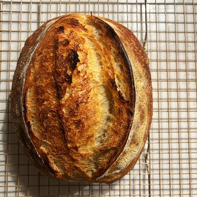 Pane Pugliese