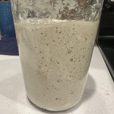 Laverne’s Legacy – Live Sourdough Starter