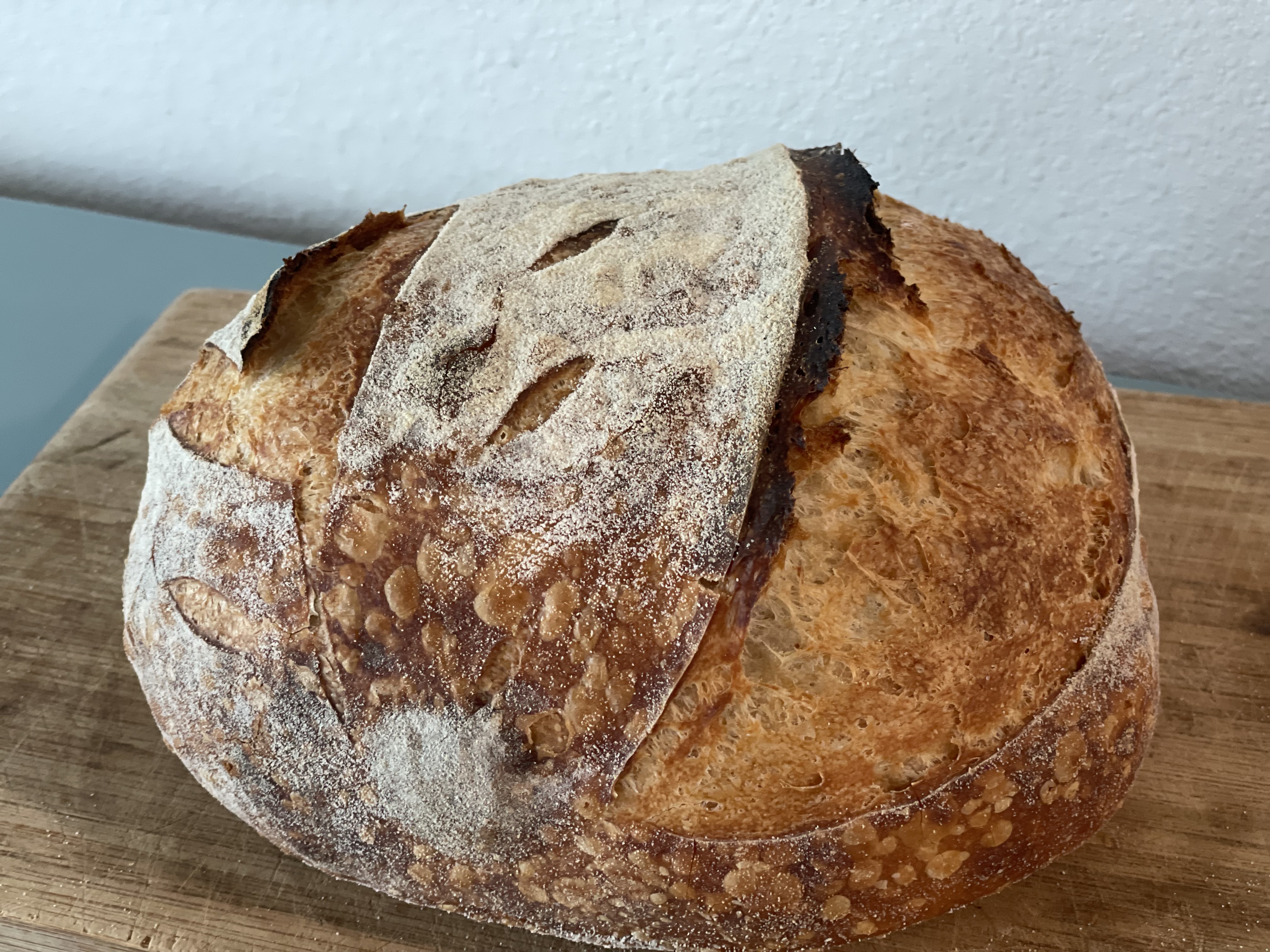 Original Sourdough