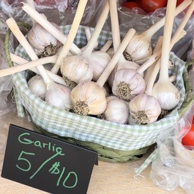 Garlic 