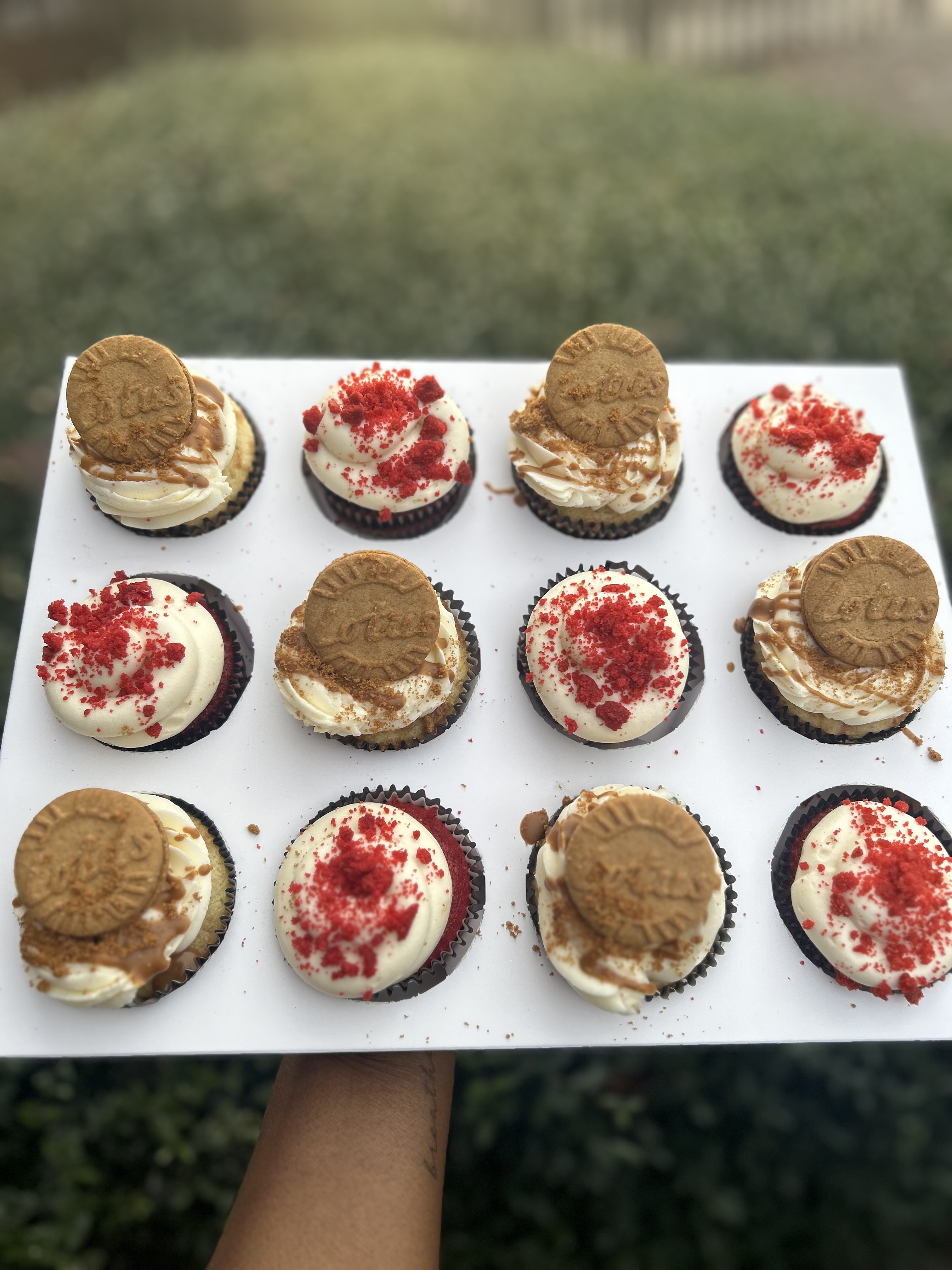 Gourmet Cupcakes
