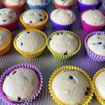 Chocolate Chip Protein Muffins - 20 Muffins 