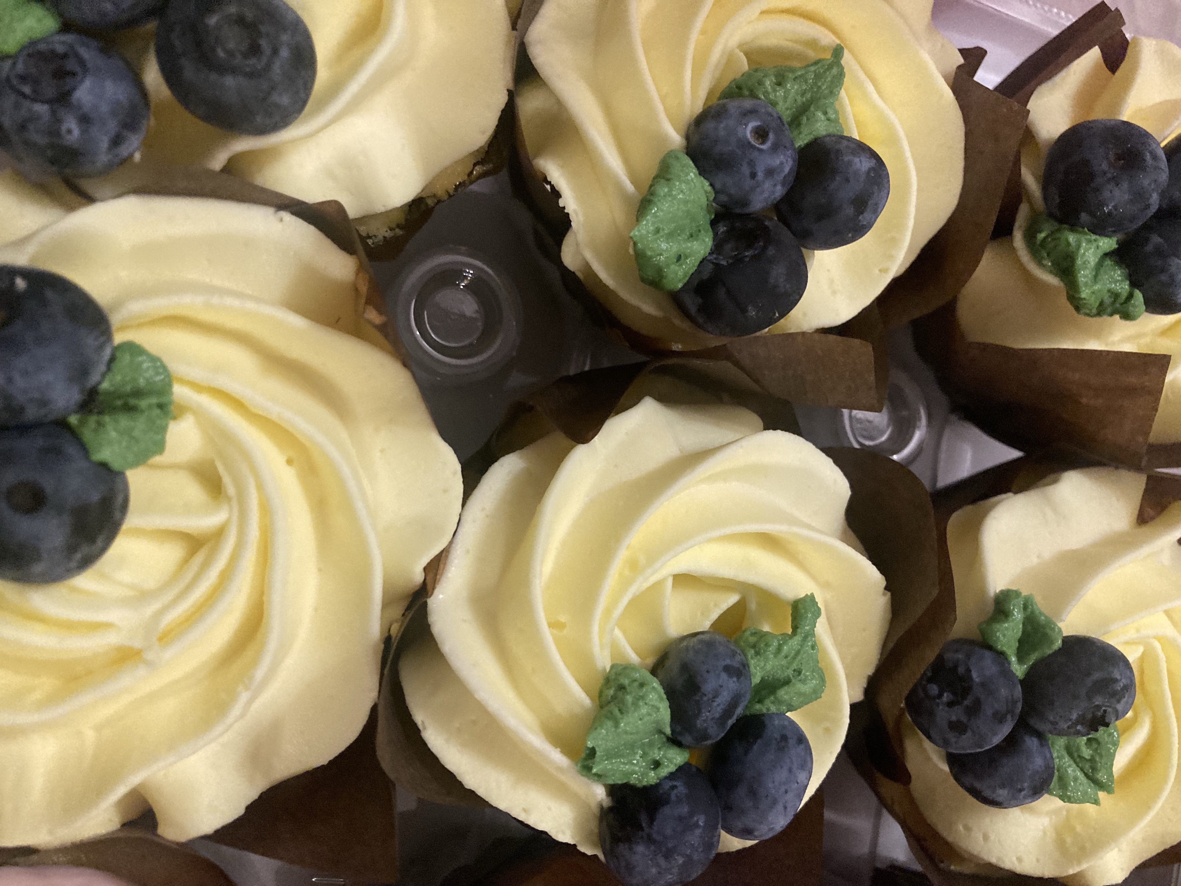 Gourmet Cupcakes