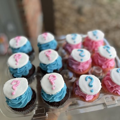 Gender Reveal Cupcakes 