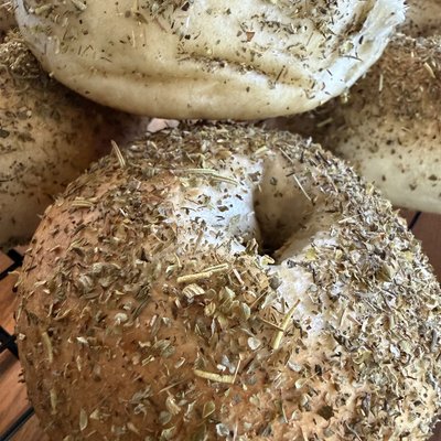 Italian Season Bagel